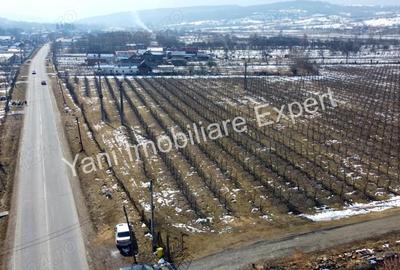 Teren de vanzare in comuna Mu?ate?ti, jude? Arge?. - 14