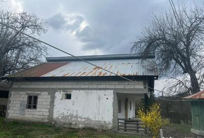Casă cu 4 camere cu Teren 5000 Mp în Băjenari - 1
