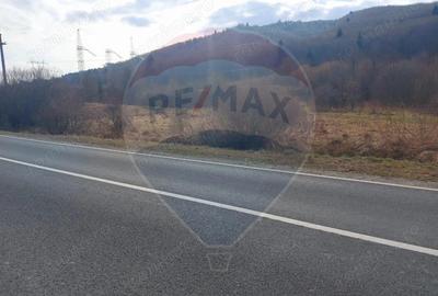 Comision 0 %! Teren 10,000 mp, front la DN1A, Sacele! - 3