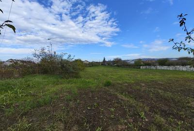 Teren Intravilan Miroslava 1640mp - 2