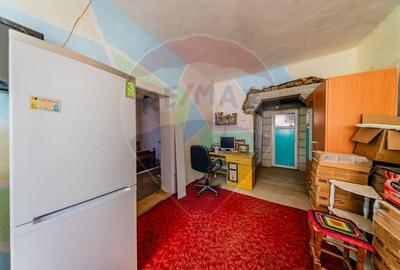 Casa + teren 2880 mp de vanzare in Tipar,Sintea Mare - 10