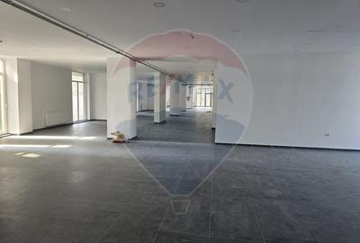 Spațiu comercial, de 400 mp, în Vitan - 13