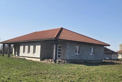 Casă cu Teren 25000 Mp în Traian