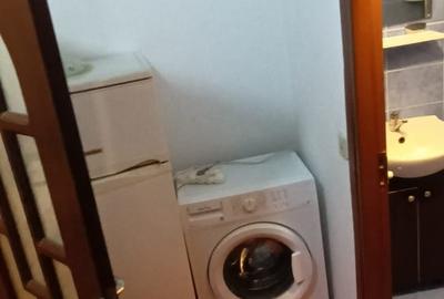 Gorjului -Militari, garsoniera in vila, centrală proprie - 7