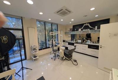 De inchiriat vila, compartimentare flexibila, Cotroceni-Panduri - 3