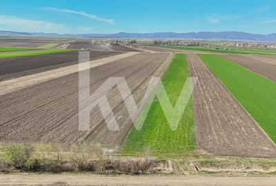 Vanzare teren extravilan agricol Halchiu 15000mp - 4
