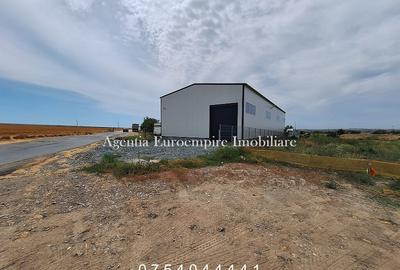 Teren de 2281 mp, în Lumina - 2