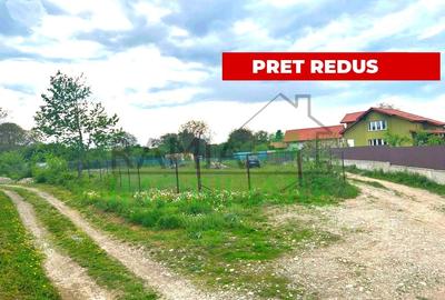 TEREN INTRAVILAN DE VANZARE - CĂRPINIȘ, COM. TĂRLUNGENI, BRAȘOV - 10
