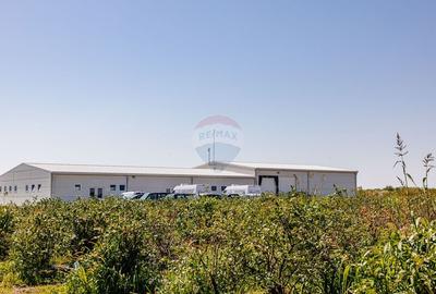 Teren agricol extravilan de 27720 mp, în Vest - 6