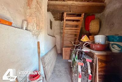 Casă cu 4 camere cu Teren 1459 Mp în Secusigiu - 9