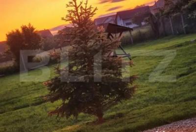 Casă cu 4 camere cu Teren 1570 Mp în Burdujeni - 6