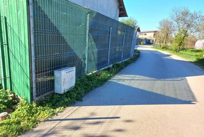 Teren intravilan 2927 mp - com. Domnesti sat Teghes - 4