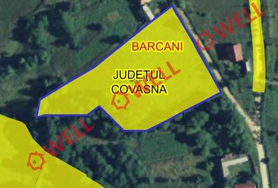 De vânzare teren extravilan și  intravilan  în loc. Barcani, pe str Almas! - 10