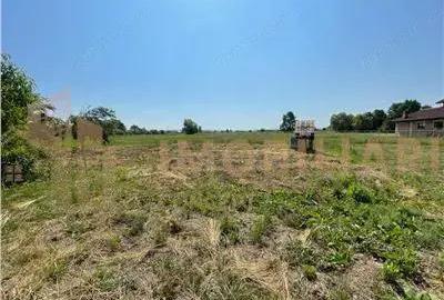 Casă cu Teren 2430 Mp în Satulung - 3