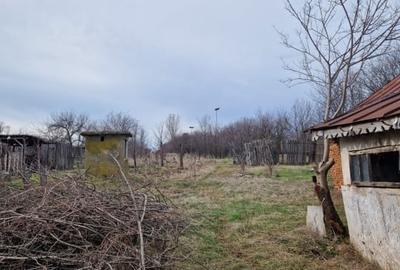 Teren Construcții intravilan de 1528 mp, în Ghercești - 7