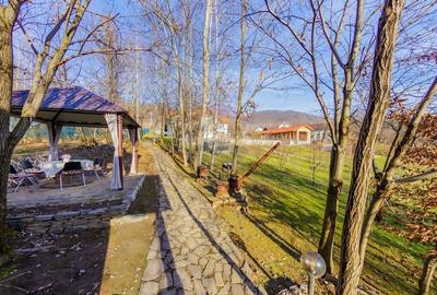 VILA DE VIS CU TEREN GENEROS, DE VANZARE - 45