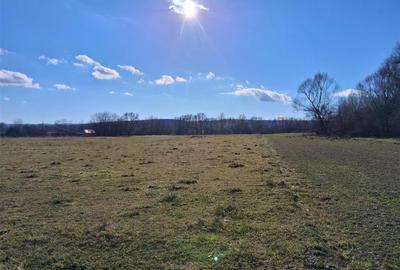 Teren intravilan de 14780 mp, în Grumăzești - 2