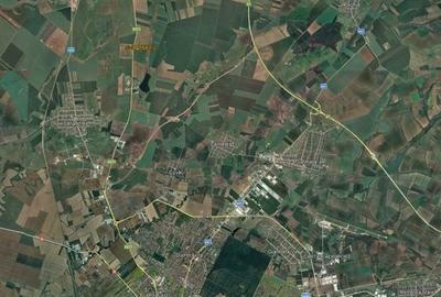 Teren agricol extravilan de 87500 mp, în Sânandrei - 3