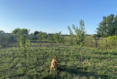 Casă cu 6 camere cu Teren 888 Mp în Războieni - 2