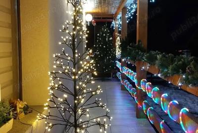 Casă cu 6 camere în Băiuț - 8