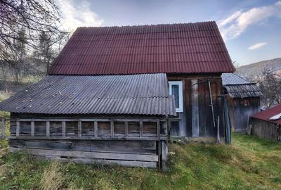 Casă cu Teren 1400 Mp în Moisei - 7