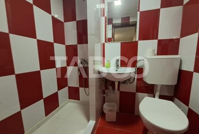 Spatiu de vanzare in Valea Macesului judel Valcea iesire la Lotru - 18