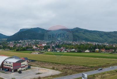 Loturi de casa intrare Sacele 440 mp, un lot cu AC Loturi de casa intrare Sacele 440 mp, un lot cu AC - 2