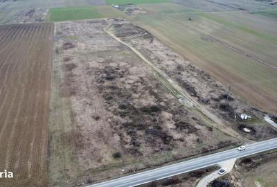 Teren de 15000 mp, în Moșnița Nouă
