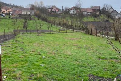 Casă cu 2 camere în Lunca - 1