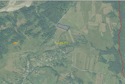 Teren de 9700 mp, în Dănulești - 5