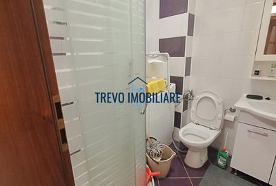 Apartament cu 3 camere semidecomandat, mobilat în Zorilor - 7