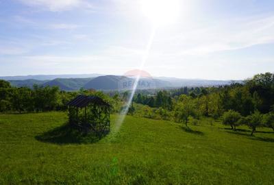 Teren Construcții intravilan de 38592 mp, în Sud-Vest - 1