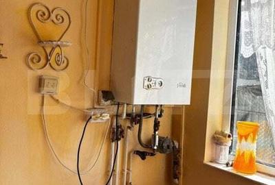 Casa Comuna Plopu , Sat Nisipoasa cu teren aproape de padure ! - 5