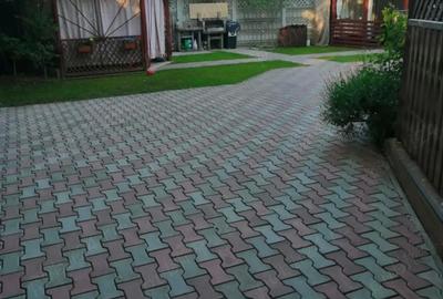 Apartament cu 2 camere semidecomandat în Dumbrăvița - 9