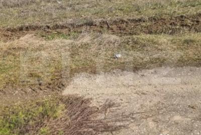 Teren în Lipănești - 2