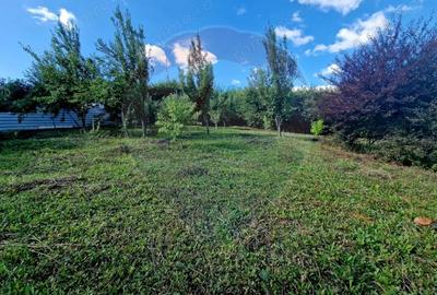 Teren de 1000 mp, în Central - 10