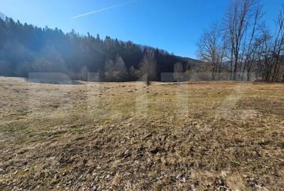 Teren de 923 mp, în Bucium - 4