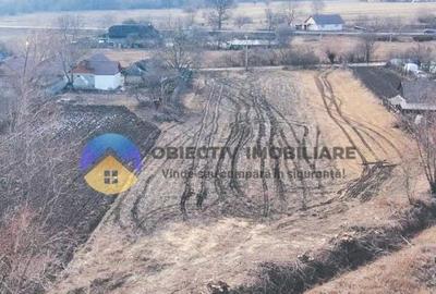 Teren Construcții intravilan de 10515 mp, în Bodești - 8