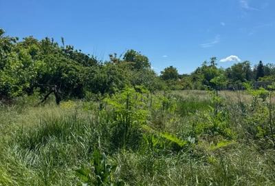 Teren Snagov - Ideal pentru dezvoltare rezidentiala sau investitie! - 5