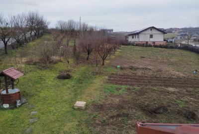 Spațiu comercial, în Badon - 5