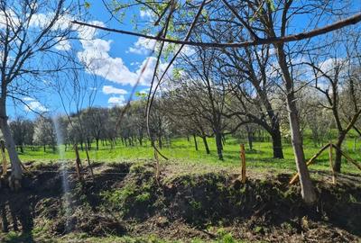 Teren de 5407 mp, în Valea Mică - 2