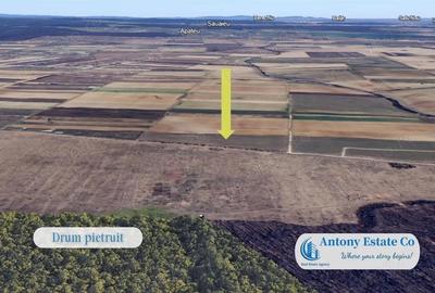 Teren de 1750 mp, în Sânmartin - 1