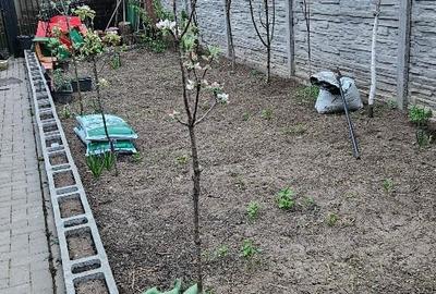 Proprietar vând 3 camere Sanandrei - 16