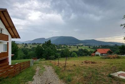 Teren de 1000 mp, în Viișoara - 4