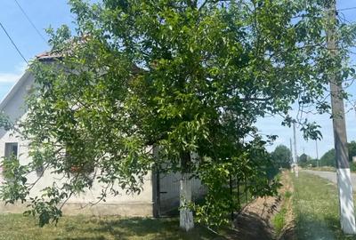 Vand casa la tara - 2