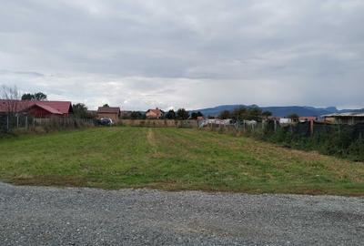 Teren de 1460 mp, în Mihai Viteazu - 3