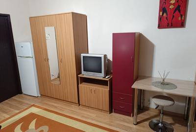 Garsonieră semidecomandată, mobilată în Dristor - 5