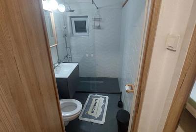 Apartament cu 2 camere semidecomandat în Brâncoveanu - 9