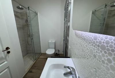 Spatiu pentru Birouri Piata Unirii Timisoara  apartament de inchiriat - 11