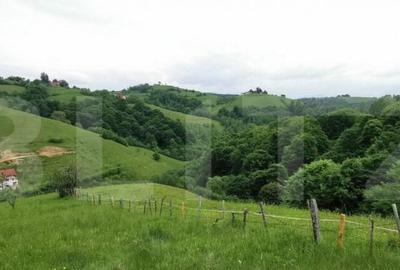 Teren, 12.928 mp, Poiana Marului, Bra?ov Teren, 12.928 mp, Poiana Marului, Bra?ov - 3